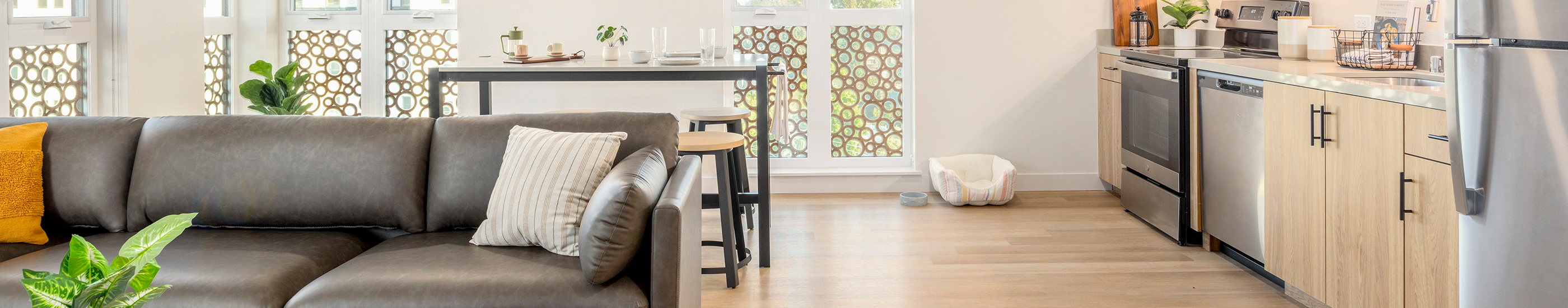 A fully furnished living space